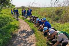 42ae98b2-4a4e-4bd2-bc0a-39cc7403ba78