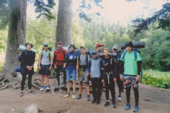 Скинировать-10003