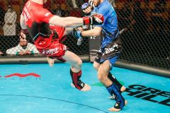 immafed_272735464_972905863605924_7122558264656904153_n